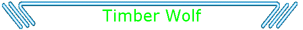 Timber Wolf